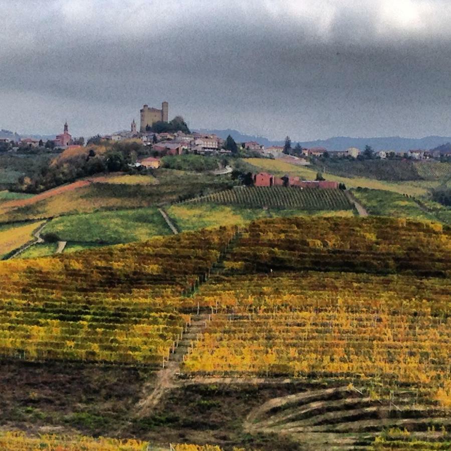 Cascina Maina Villa Diano dʼAlba Exterior foto