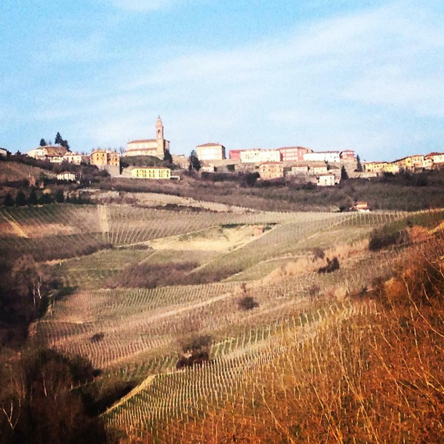Cascina Maina Villa Diano dʼAlba Exterior foto